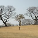 진주성 서장대 이미지