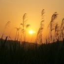 바람길목 이미지