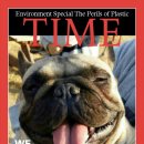 웃으면복이와요 이미지