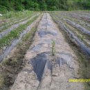 (주)나무연구소 이미지