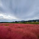 유구읍사무소 이미지