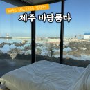 바당쿰다 | 제주 오션뷰 숙소 | 바다 앞 감성숙소 바당쿰다 스테이 후기