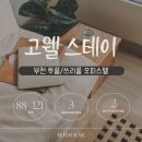 고웰 스테이 이미지