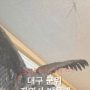 경북대학교 자연사박물관 이미지