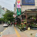 화비꽃방 이미지