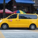 강아지보호구역 이미지