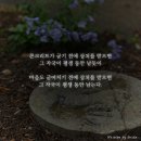 3월23일 띠별 운세 ^^😀 이미지