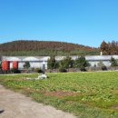 삼달교차로 3 이미지