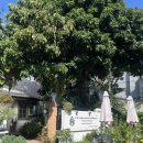 wellness | 치앙마이 임산부 마사지 추천 DN Wellness Massage 솔직후기