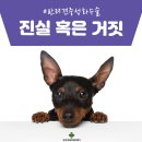 튼튼동물병원 이미지