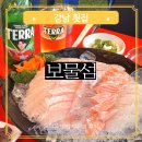 참치랑연어랑보물섬 | 강남 횟집 보물섬 신논현 야장 맛집 논현동 대방어 맛집 모듬회 후기