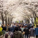 렛츠핏 가산점 이미지