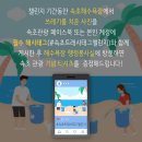 속초썸머비치페스티벌 네이버블로그