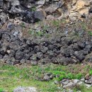 아우라지베개용암 이미지