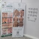뷰티선