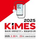 디에스메디