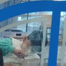 로봇의 비밀 알아보기 이미지