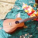 마음 힐링 우쿨렐레 이미지