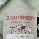 고덕24시 동물병원 이미지