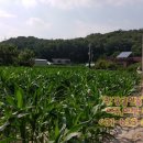 THE좋은부동산공인중개사사무소 이미지