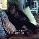 마트카페 네이버블로그