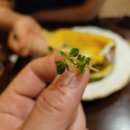 금별식당 이미지