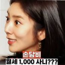 담비인테리어