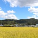 미원6리 이미지