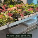 (주)루트엔스튜디오 이미지