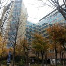 분당-295 이미지