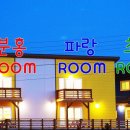 나무앤씨 키즈 이미지