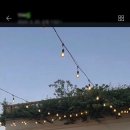 대율상회 네이버블로그