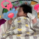 언약체육관 이미지