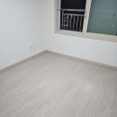 설봉공원(남문뒤) 화장실 | 진해 남문시티프라디움 이사청소, 구축 아파트 서랍장 뒤 이것 보고 놀라지 마세요