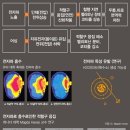 (주) 쉴드그린에서 만든 어싱테라피 전자파(전기장)차단 담요로 건강을 선물해요~~(ft, 어싱테라피 전위...