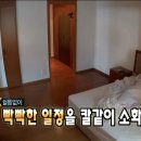 굳쇼맨 | [제주도]제주도 즉흥 혼여 2일차_세화질그랭이센터 가서 워케이션 찍먹+ 밥먹고 운전하고 제주온리 스벅...