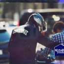 씨젤리피쉬 이미지