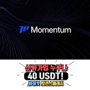 모멘텀에드