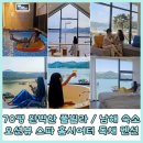 비마이아일랜드 이미지