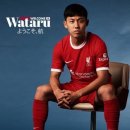 엔도메디칼 이미지