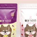 디어치즈 이미지