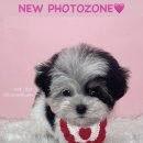 포에버위드유 이미지