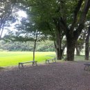 사천 희망길 이미지