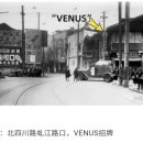 비너스나이트클럽 이미지