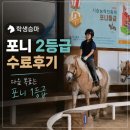 에이원승마클럽 | 학생승마 200% 활용법: 말타 앱 예약 꿀팁과 포니 2등급 수료 후기