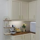 강아지 뷰티 이미지