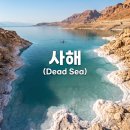 사해의집 | 요르단,사해(Dead Sea) 가족 여행 이야기3