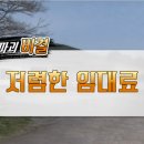 복돼지가흑돼지래요