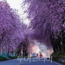 멋다리펜션 이미지