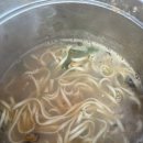 태극힐링 | 🌿 홍천 태극캠핑장에서의 힐링 아침 &amp; 알파카랜드 여행기